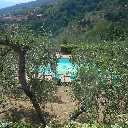 Cecchini Villa Massa e Cozzile