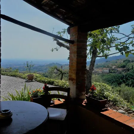 Cecchini Villa Massa e Cozzile