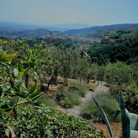 Villa Cecchini *